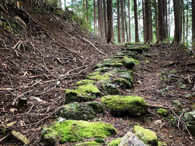 Ryokotomo - pathway