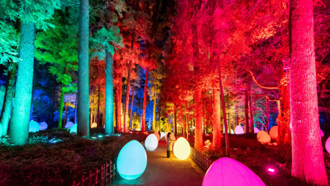 
					TeamLab Akan Mengadakan Festival Cahaya Kairaku-en di Mito, Prefektur Ibaraki pada 2022