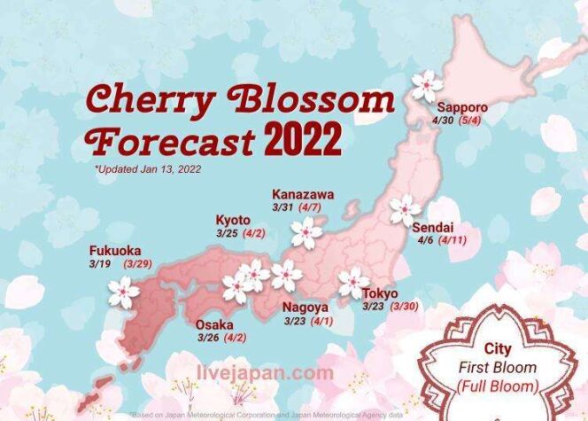 
					Prakiraan Sakura 2022: Bunga Sakura Mekar Lebih Awal di Jepang