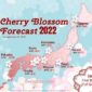 Ryokotomo - ryokotomo.com prakiraan sakura 2022 bunga sakura mekar lebih awal di jepang