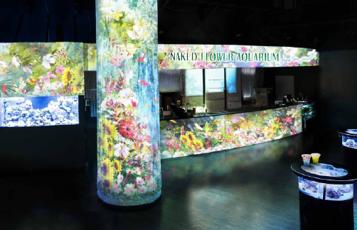 Ryokotomo - 1fa81ec2 naked flower aquarium bring you happiness event opens at
