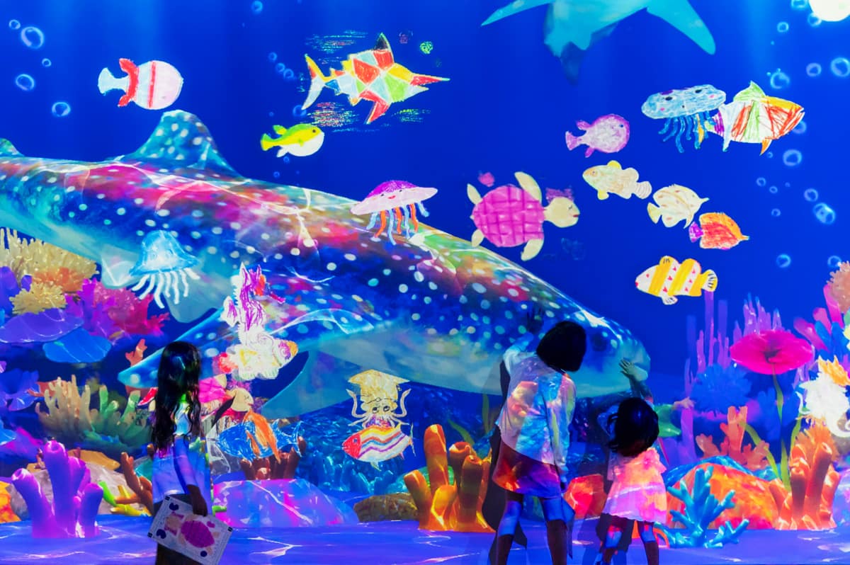 Ryokotomo - 89d117b6 teamlab to hold limited time art exhibition by lake yamanaka in