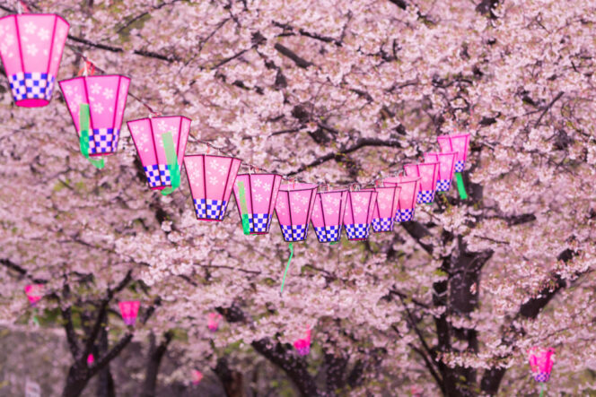 
					6 Spring Festival di Jepang 2023 (Part 2)