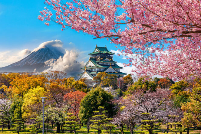 
					5 Alasan Kenapa Harus Liburan di Jepang Selama Musim Semi!