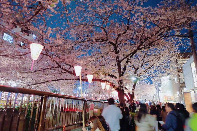 
					7 Tips Liburan Musim Semi ke Jepang yang Wajib Kamu Ketahui!