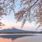Gunung Fuji Dan Berbagai Fakta Yang Perlu Diketahui