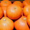 Mengenal Kabocha, Makanan Khas Jepang Saat Musim Gugur