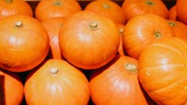 Mengenal Kabocha, Makanan Khas Jepang Saat Musim Gugur