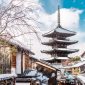 Panduan Berwisata Di Kyoto Saat Musim Dingin