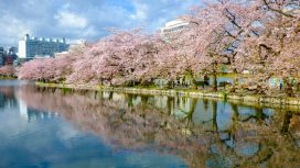 Taman Ueno, Destinasi Menarik Di Tokyo Saat Musim Dingin