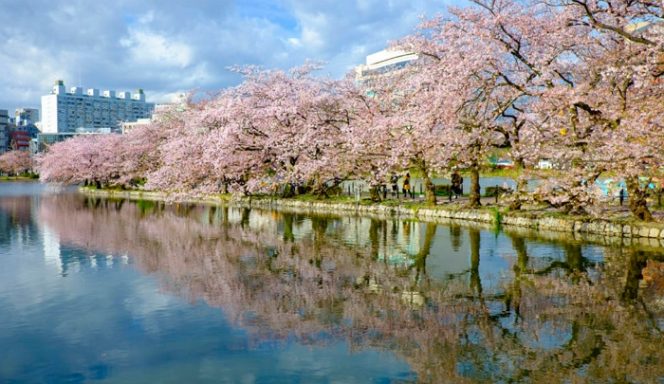 
					Taman Ueno, Destinasi Menarik Di Tokyo Saat Musim Dingin