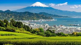 Shizuoka jadi salah satu destinasi wisata tersembunyi di Jepang yang wajib dikunjungi