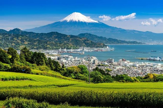 
					Shizuoka jadi salah satu destinasi wisata tersembunyi di Jepang yang wajib dikunjungi