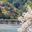 5 Tempat Melihat Sakura Di Kyoto, Jepang