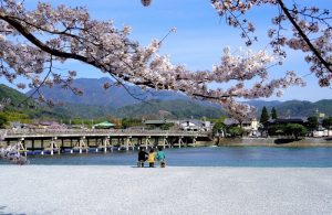 5 Tempat Melihat Sakura Di Kyoto, Jepang