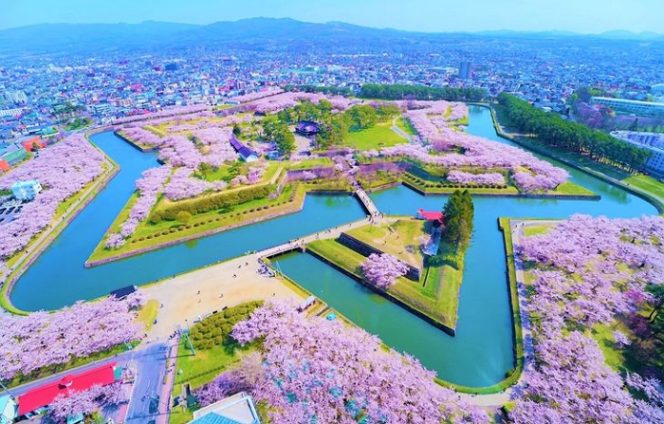 
					Festival Bunga Sakura Paling Terkenal Di Jepang