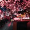 Inilah Restoran Yang Memiliki Tema Serba Bunga Sakura