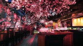 Inilah Restoran Yang Memiliki Tema Serba Bunga Sakura