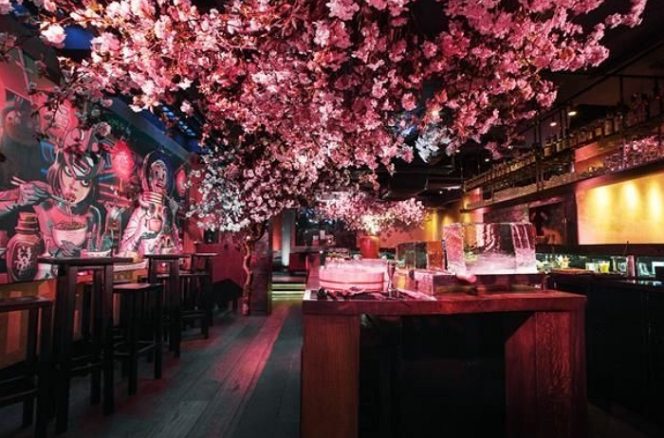 
					Inilah Restoran Yang Memiliki Tema Serba Bunga Sakura