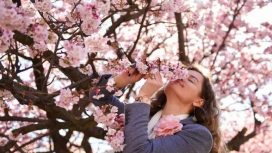 Manfaat Bunga Sakura Untuk Kecantikan
