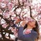 Manfaat Bunga Sakura Untuk Kecantikan