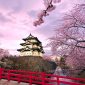 Menikmati Keindahan Sakura Di Kyoto, Destinasi Wisata Impian Di Jepang