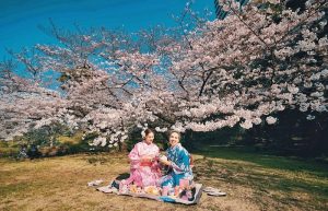 Tips Agar Bisa Menikmati Keindahan Bunga Sakura Di Jepang