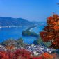 honeymoon saat musim gugur di jepang