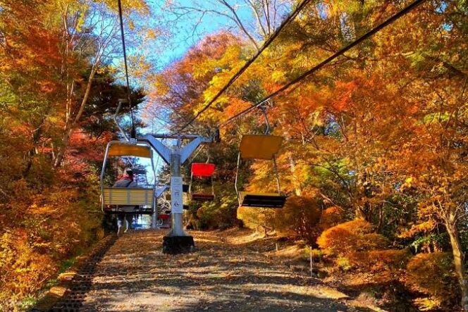 
					Jalur Hiking Terbaik di Jepang Saat Musim Gugur