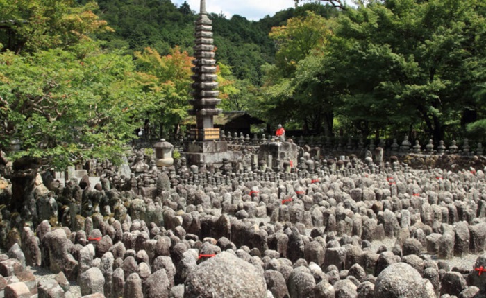 7 Aktivitas Mag⁠is Di Arashiyama Bamboo Forest Selain​ Foto, Dari Sungai Hozu Hingga Kuil Rah⁠asi​a