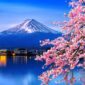 Inilah Spot Foto Menarik Saat Mendaki Gunung Fuji