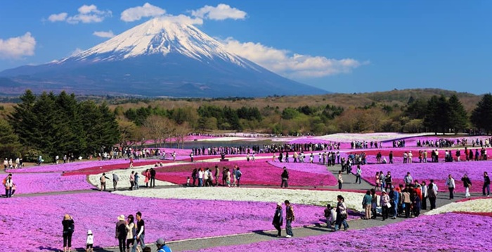 Inilah Spot Foto Menarik Saat Mendaki Gunung Fuji