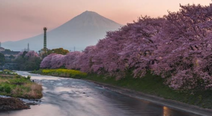 Inilah Spot Foto Menarik Saat Mendaki Gunung Fuji