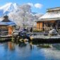 Mengenal Oshino Hakkai Jepang : 5 Keajaiban Mata Air Suci Di Kaki Gunung Fuji Yang Wajib Kamu Kunjungi