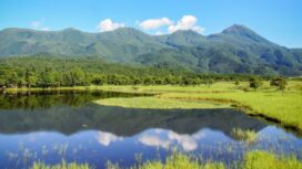 Panduan Lengkap Jelajah Taman Nasional Shiretoko 2025: Wildlife, Kuliner, Dan Budaya Ainu