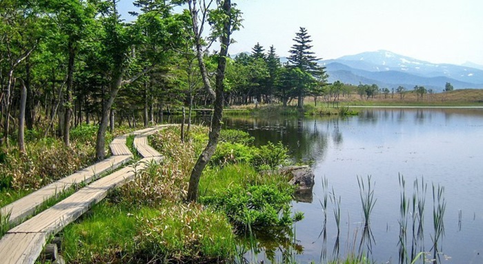 Panduan Lengkap Jelajah Taman Nasional Shiretoko 2025: Wildlife, Kuliner, Dan Budaya Ainu