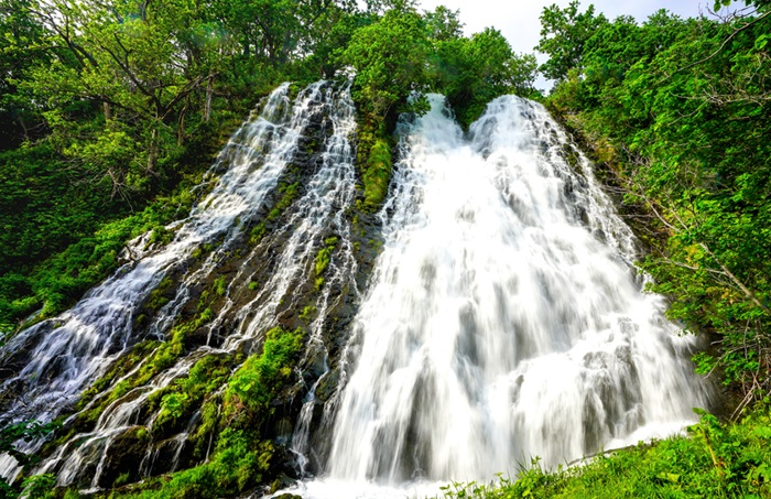 Panduan Lengkap Jelajah Taman Nasional Shiretoko 2025: Wildlife, Kuliner, Dan Budaya Ainu