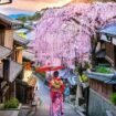 Rekomendasi Oleh Oleh Khas Kyoto Yang Bisa Dibawa Pulang