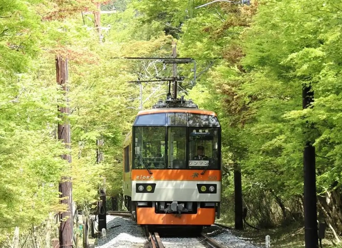 5 Rute Kereta Di Jepang Paling Instagramable Untuk Melihat Daun Musim Gugur