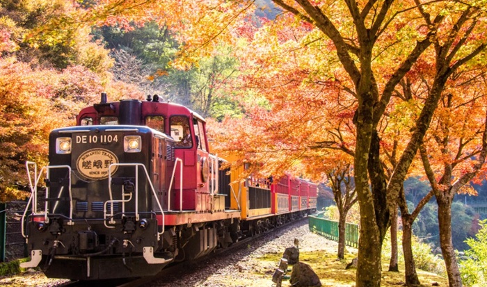 5 Rute Kereta Di Jepang Paling Instagramable Untuk Melihat Daun Musim Gugur
