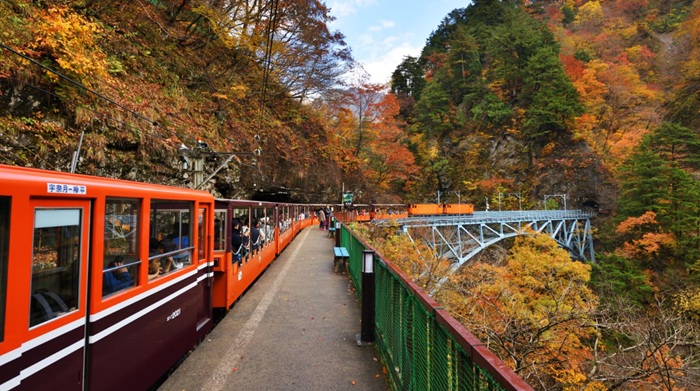 5 Rute Kereta Di Jepang Paling Instagramable Untuk Melihat Daun Musim Gugur