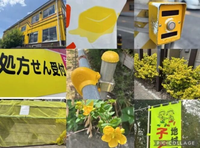
					Color Hunting, Tren Jalan Jalan Baru Anak Jepang Yang Viral Di Tiktok