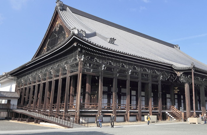 Inilah 5 Spot Ginkgo Terbaik Di Jepang 2026
