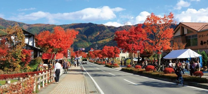 Momiji Corridor Di Kawaguchi Ko, Terowongan Daun Maple 150 Meter Dengan Latar Gunung Fuji