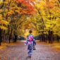 5 Hidden Gems Wisata Musim Gugur Jepang 2026 Anti Mainstream