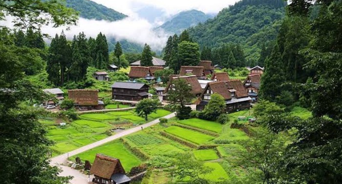 Ryokotomo - 5 Spot Musim Gugur di Shirakawago Pesona Desa Dongeng Berlatar Daun Merah 6ac5fd2b75820 5 Spot Musim Gugur Di Shirakawa Go: Pesona Desa Dongeng Berlatar Daun Merah