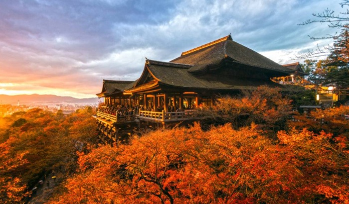 Cara Nikmati Iluminasi Malam Kyoto Saat Musim Gugur 2026