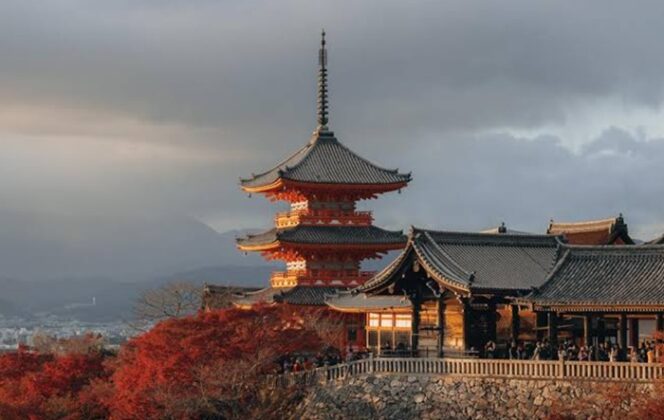 
					Cara Nikmati Iluminasi Malam Kyoto Saat Musim Gugur 2026