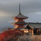 Cara Nikmati Iluminasi Malam Kyoto Saat Musim Gugur 2026