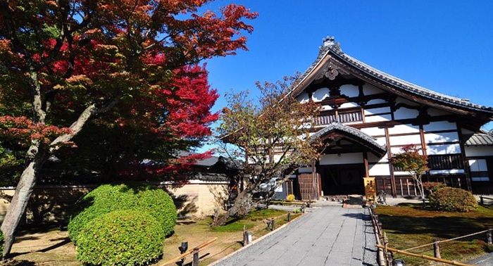 Cara Nikmati Iluminasi Malam Kyoto Saat Musim Gugur 2026